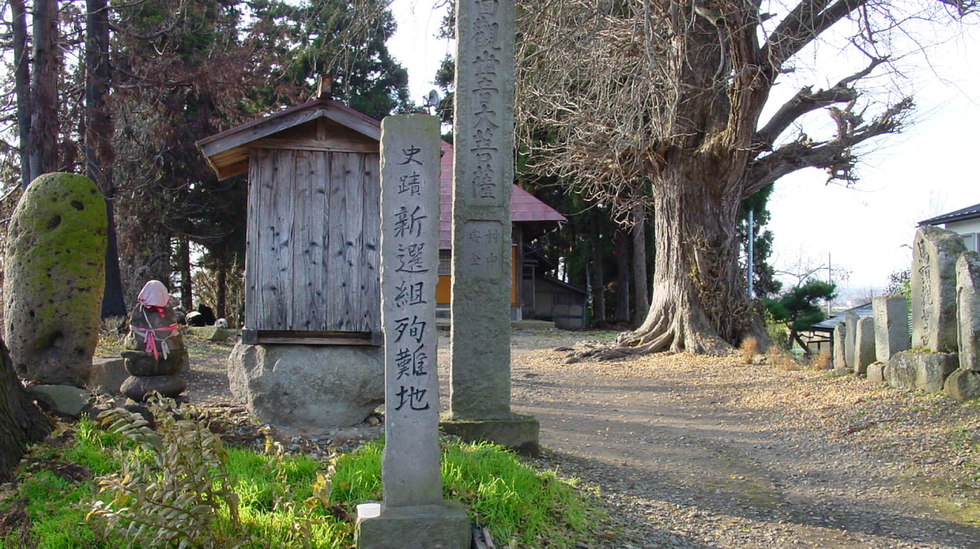nyoraido